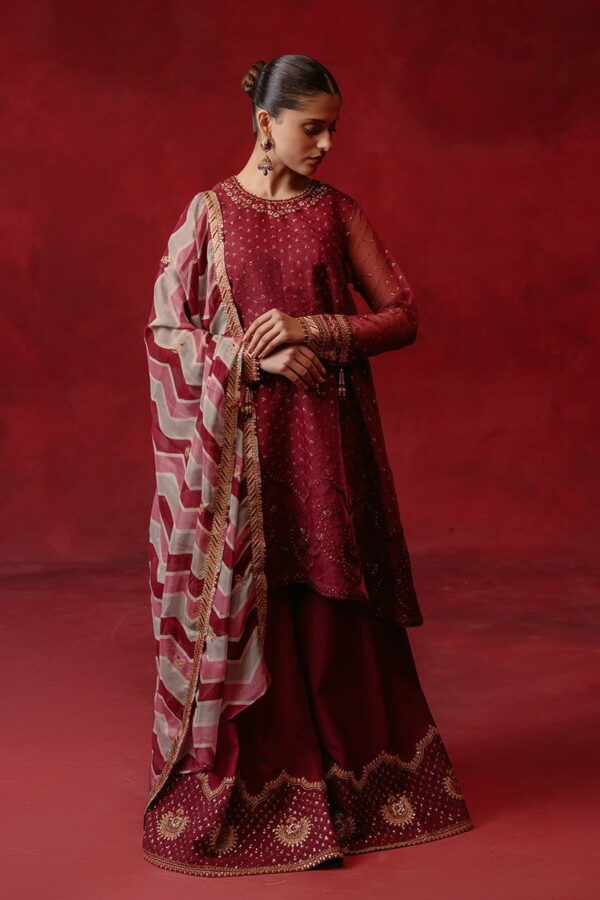 Cross Stitch Red Ochre 4 Piece Organza Embroidered Suit