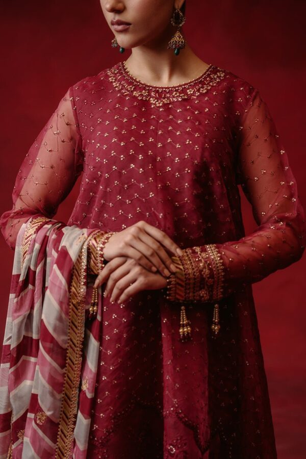 Cross Stitch Red Ochre 4 Piece Organza Embroidered Suit