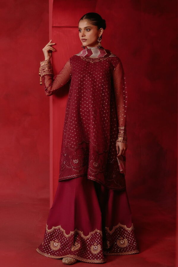 Cross Stitch Red Ochre 4 Piece Organza Embroidered Suit