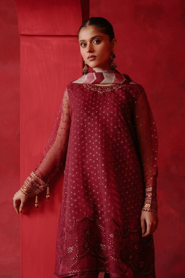 Cross Stitch Red Ochre 4 Piece Organza Embroidered Suit