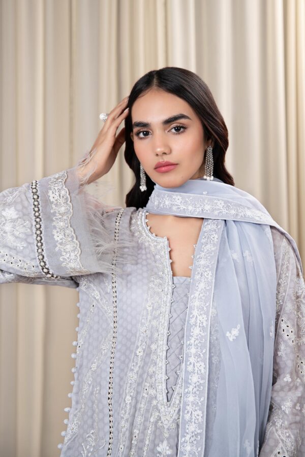 Faiza Saqlain Raabi Luxe Collection 24