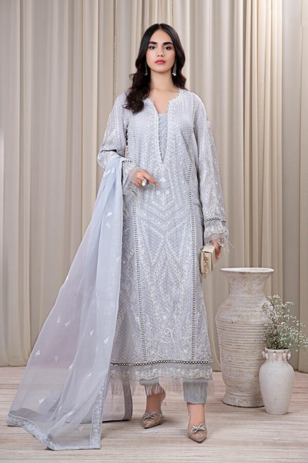 Faiza Saqlain Raabi Luxe Collection 24