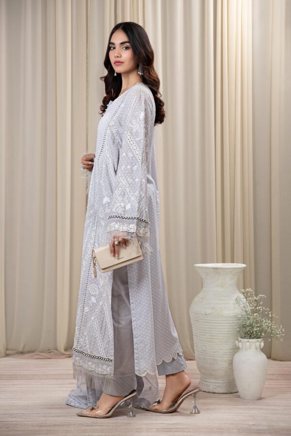 Faiza Saqlain Raabi Luxe Collection 24