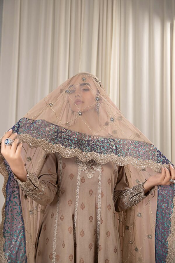 Faiza Saqlain Rehani Collection 24