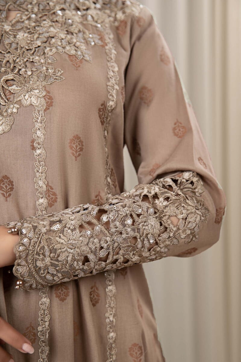 Faiza Saqlain Rehani Collection 24