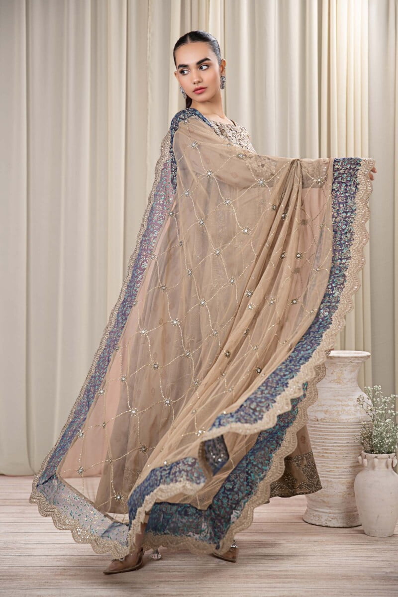 Faiza Saqlain Rehani Collection 24