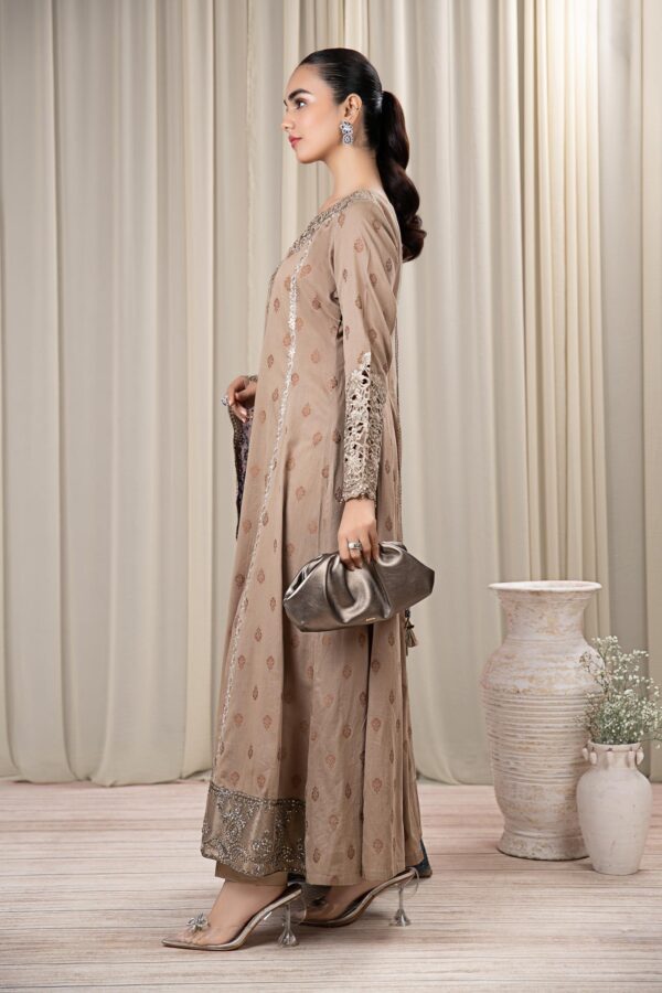 Faiza Saqlain Rehani Collection 24