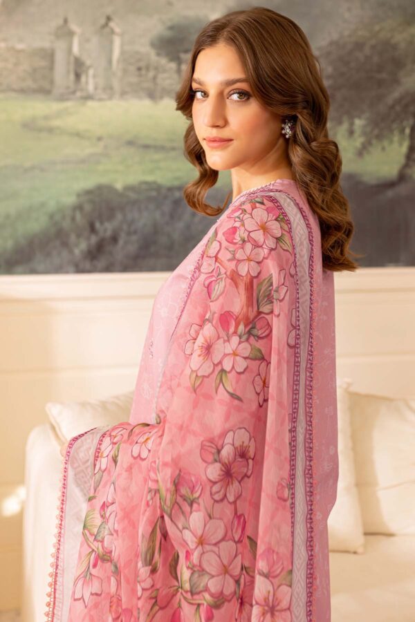 Sunnia Manahil Luna Avi Collection 24