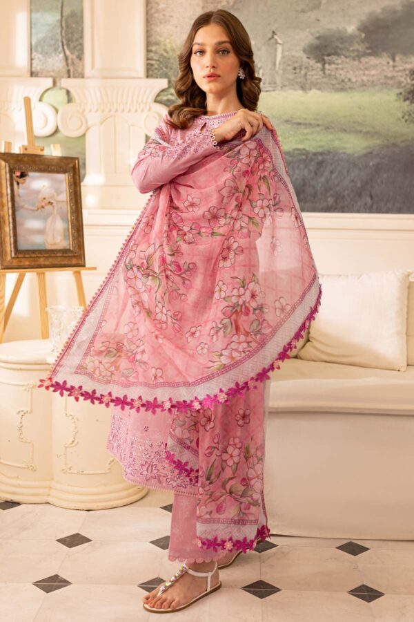 Sunnia Manahil Luna Avi Collection 24