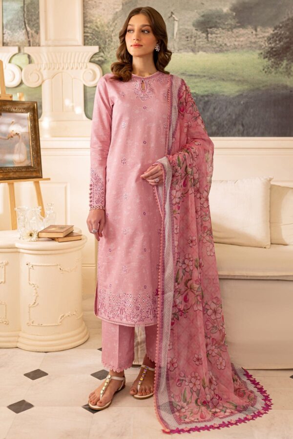 Sunnia Manahil Luna Avi Collection 24