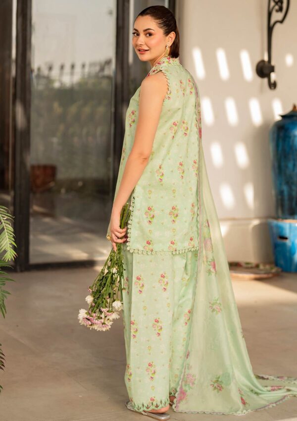 Asifa &Amp; Nabeel Meraki Summer Vol 2 Am24 11 Gul E Lawn Collection 24