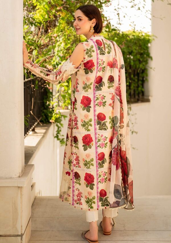 Asifa &Amp; Nabeel Meraki Summer Vol 2 Am24 09 Gulabo Lawn Collection 24