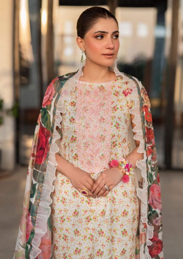 Asifa &Amp; Nabeel Meraki Summer Vol 2 Am24 15 Gulnar Lawn Collection 24