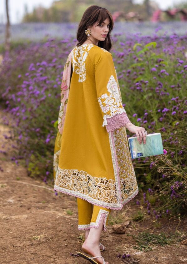 Mushq The Secret Garden Mh 4B Hemline Lawn Collection