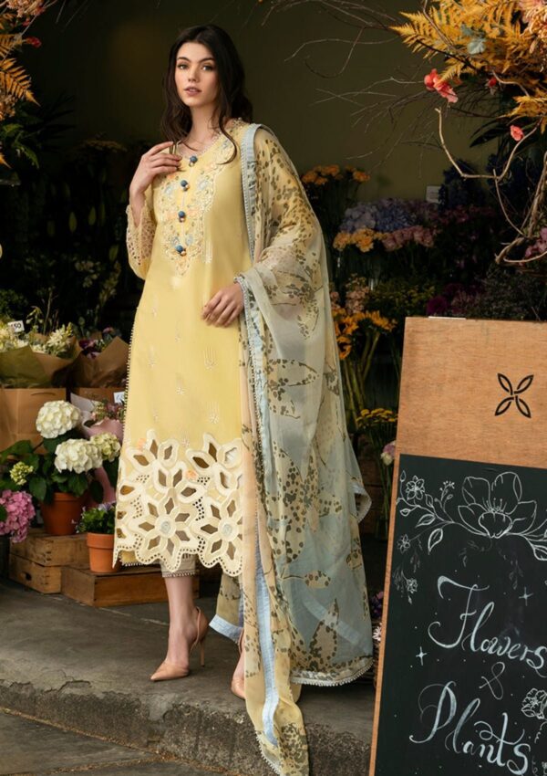 Mushq Hmc 01 Sunset Sway Hemline Odyssey Lawn Collection