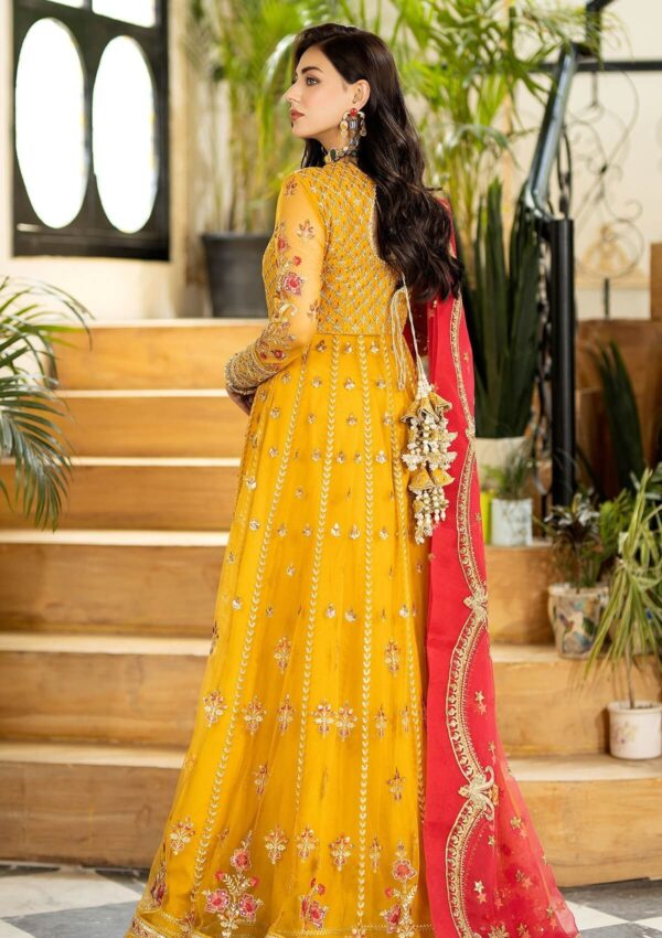 Imrozia Jhalak 183 Justajoo Formal Collection