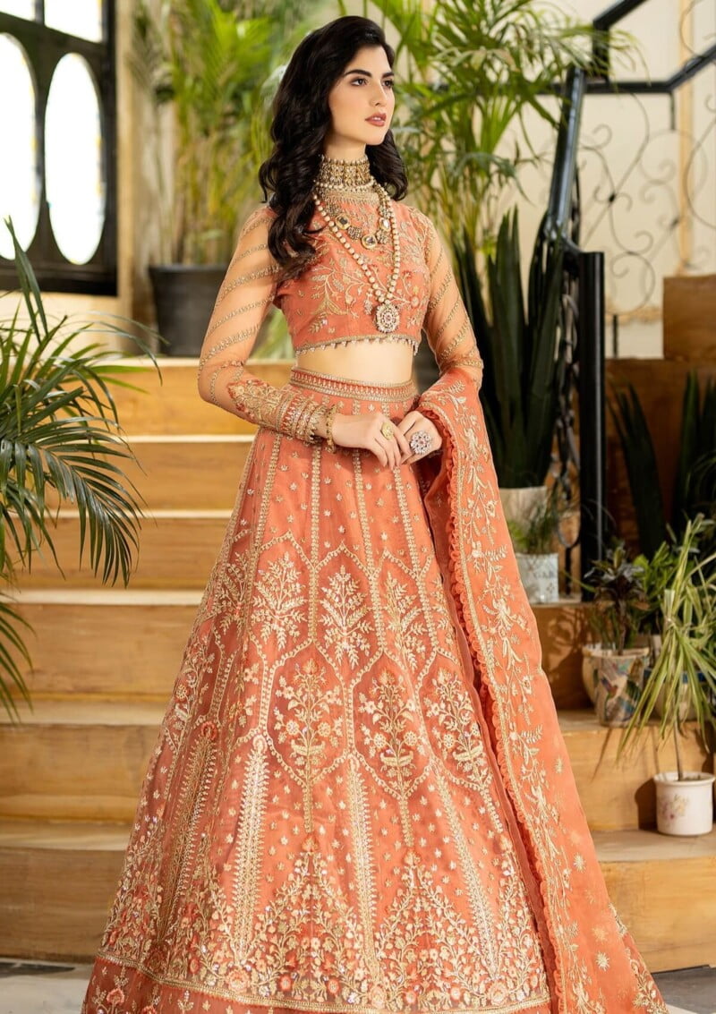 Imrozia Jhalak 186 Gulnaaz Formal Collection