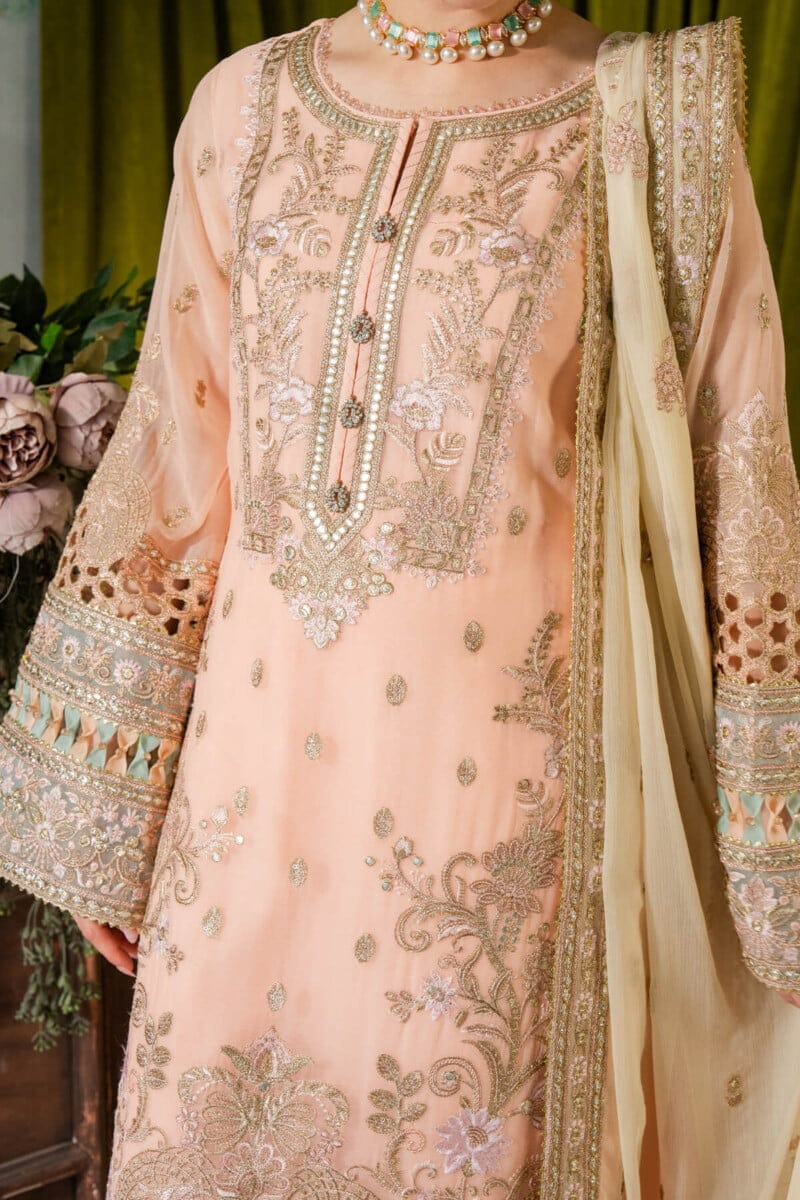 Imrozia I-193 Kashud Naina Chiffon