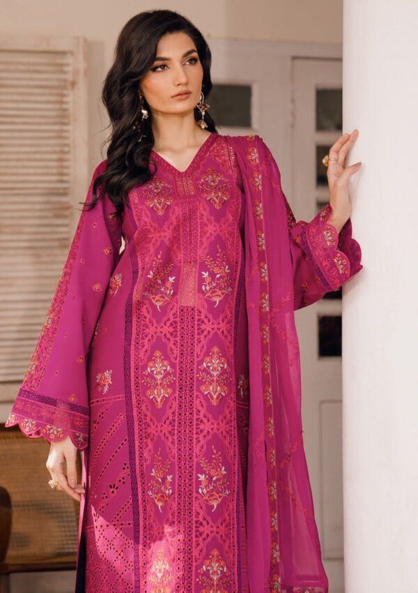 Bin Ilyas Naqsh D 4B Esra Lawn Collection