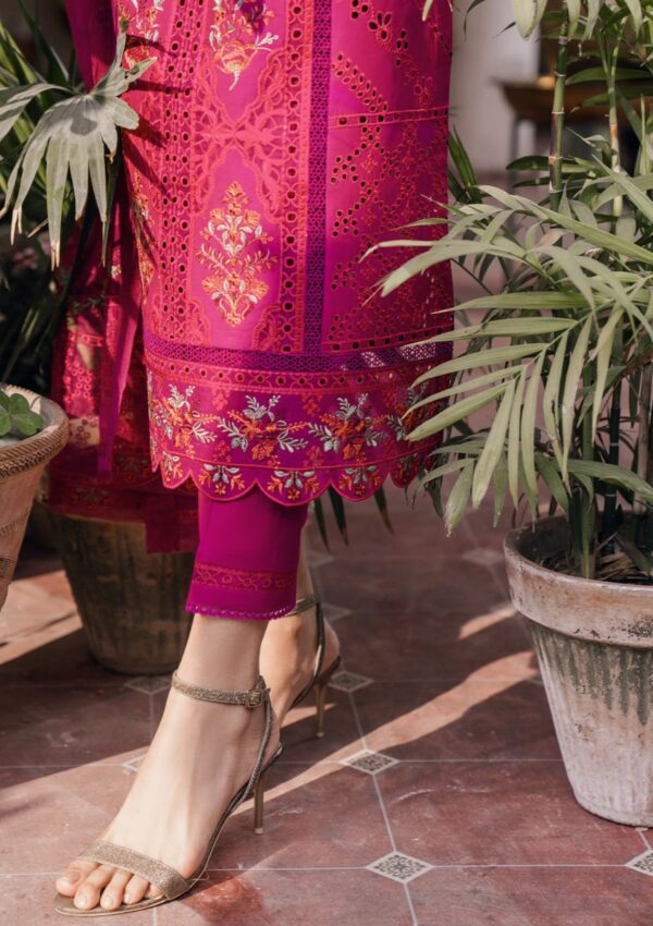 Bin Ilyas Naqsh D 4B Esra Lawn Collection