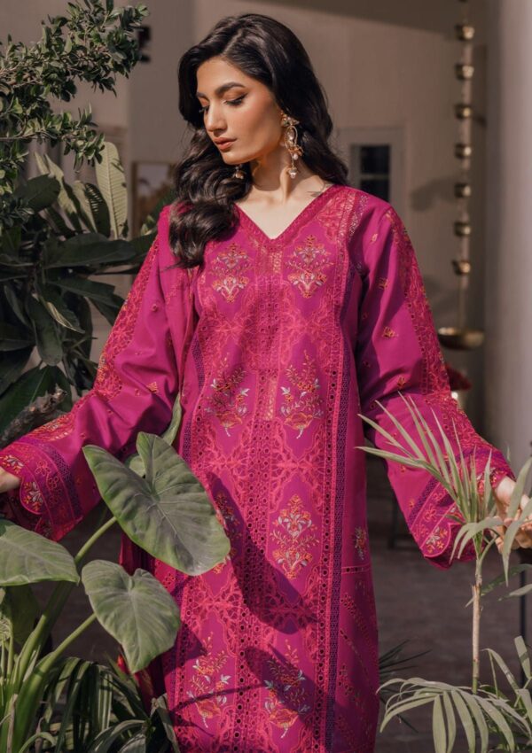 Bin Ilyas Naqsh D 4B Esra Lawn Collection