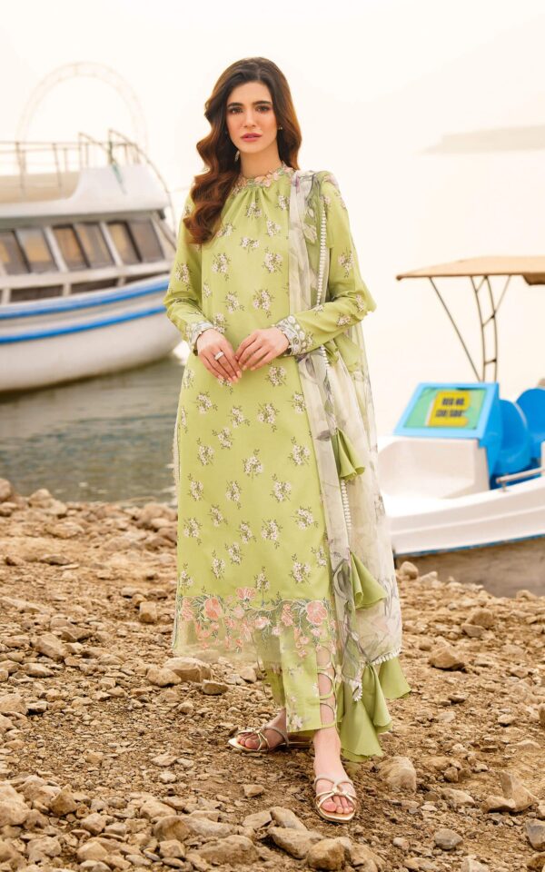 Asifa &Amp; Nabeel M 10 Lara Meraki Premium Lawn Collection