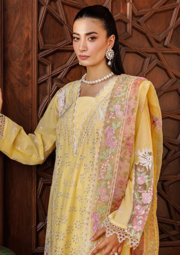 Raj Bari Amali Festive 24 Rf 02 A Lawn Collection 24