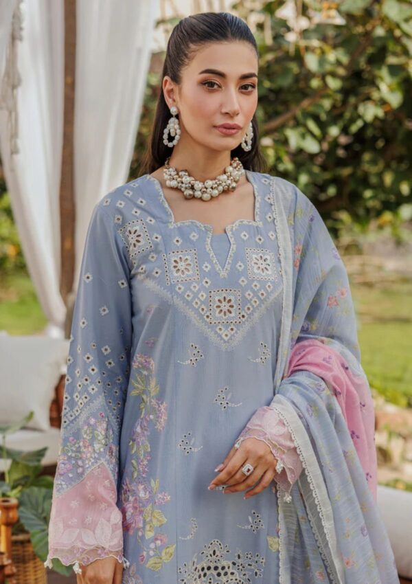 Raj Bari Amali Festive 24 Rf 03 B Lawn Collection 24