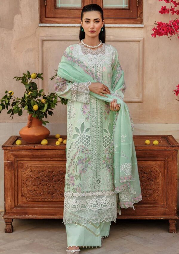 Raj Bari Amali Festive 24 Rf 04 B Lawn Collection 24