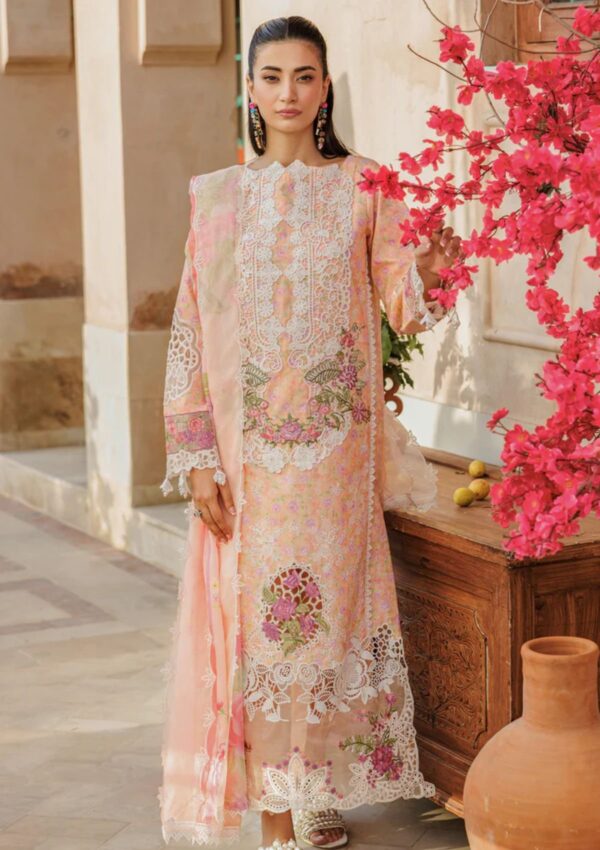 Raj Bari Amali Festive 24 Rf 05 B Lawn Collection 24