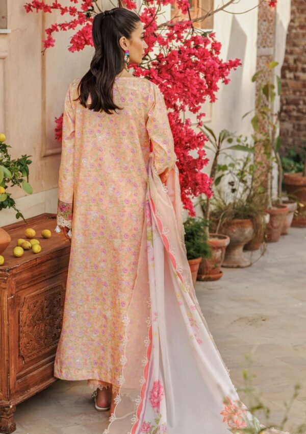 Raj Bari Amali Festive 24 Rf 05 B Lawn Collection 24