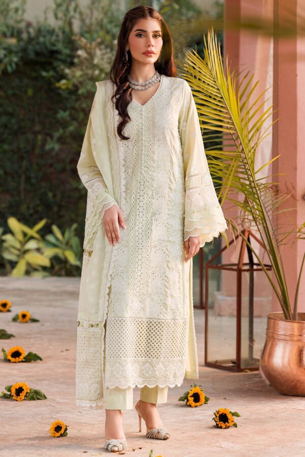 Farasha Rosy Somber Embroidered Lawn Ss 24 Collection 24