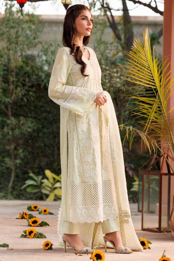 Farasha Rosy Somber Embroidered Lawn Ss 24 Collection 24