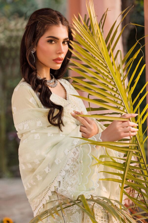 Farasha Rosy Somber Embroidered Lawn Ss 24 Collection 24