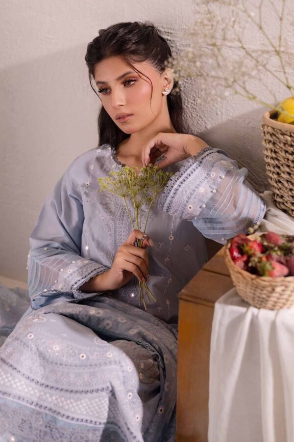 Gul Ahmed Pc-42010 Embroidered Lawn Collection 2024