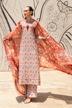 Roheenaz Taneez RT24 03 B Yekta Lawn Collection 24