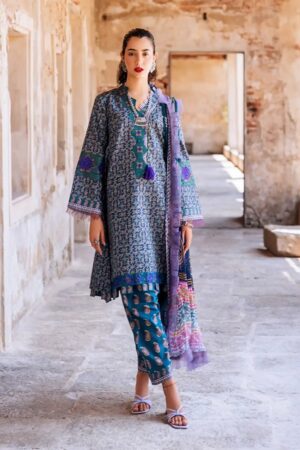 Roheenaz Taneez RT24 06 B Elika Lawn Collection 24