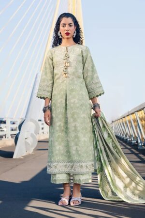 Roheenaz Taneez RT24 07 A Raha Lawn Collection 24