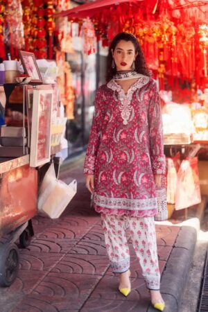 Roheenaz Taneez RT24 08 B Leyli Lawn Collection 24