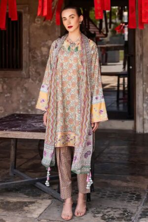 Roheenaz Taneez RT24 09 B Laleh Lawn Collection 24