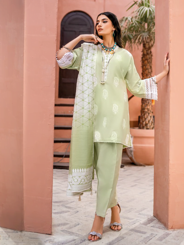 Gul Ahmed Sp-42019 Essential Embroidered Lawn Collection 2024