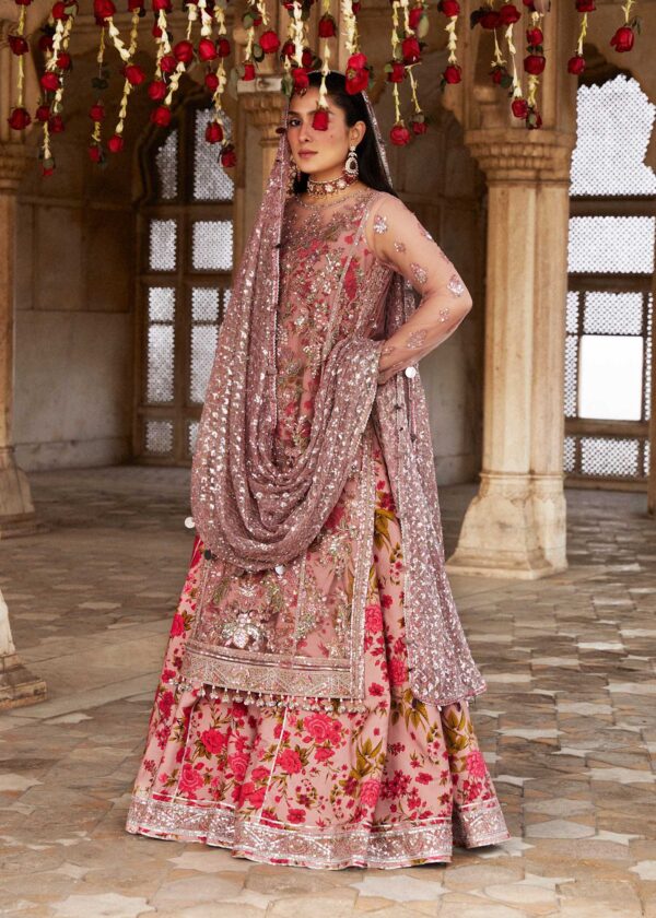 Hussain Rehar Dress Sham Luxury Festive Formal Net Collection 2024