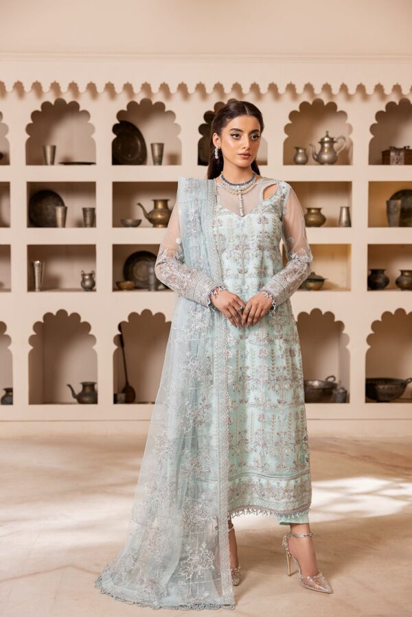 House Of Nawab Gulmira D-03 Tabsira Nawab Gulmira Embroidered Net Collection 2024