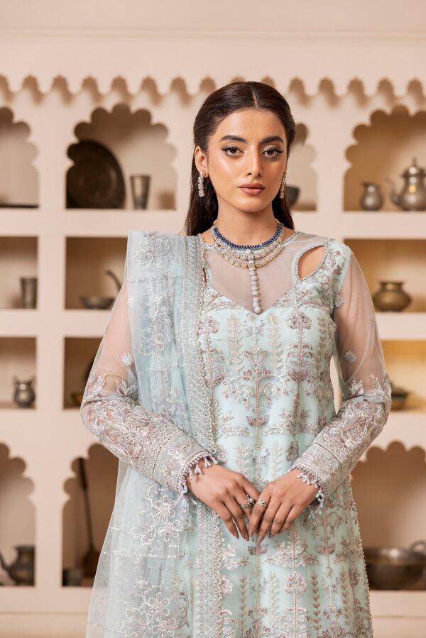 House Of Nawab Gulmira D-03 Tabsira Nawab Gulmira Embroidered Net Collection 2024