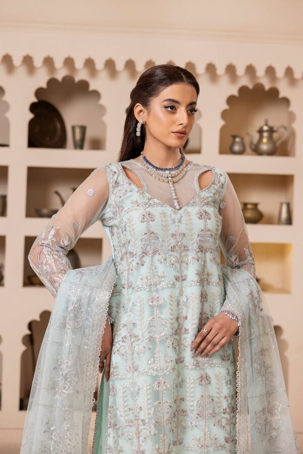 House Of Nawab Gulmira D-03 Tabsira Nawab Gulmira Embroidered Net Collection 2024