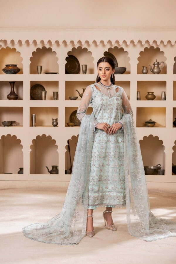 House Of Nawab Gulmira D-03 Tabsira Nawab Gulmira Embroidered Net Collection 2024