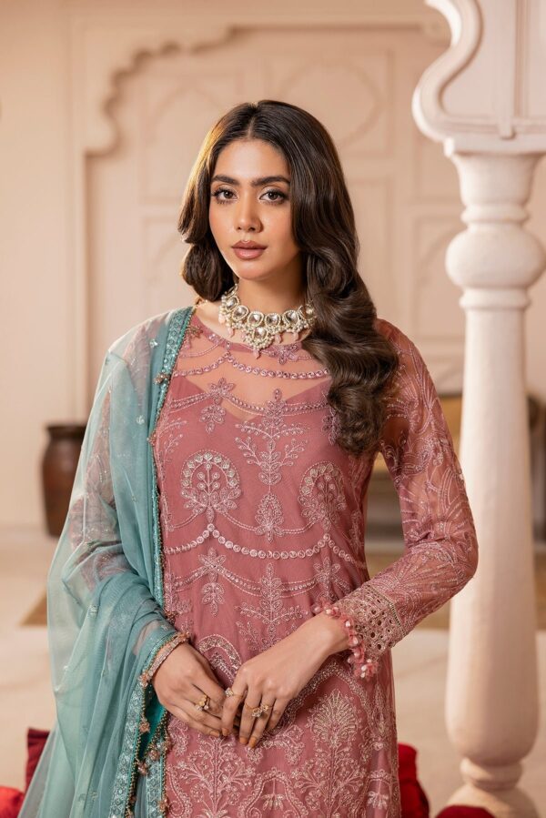 House Of Nawab Gulmira D-02 Tala Nawab Gulmira Embroidered Net Collection 2024