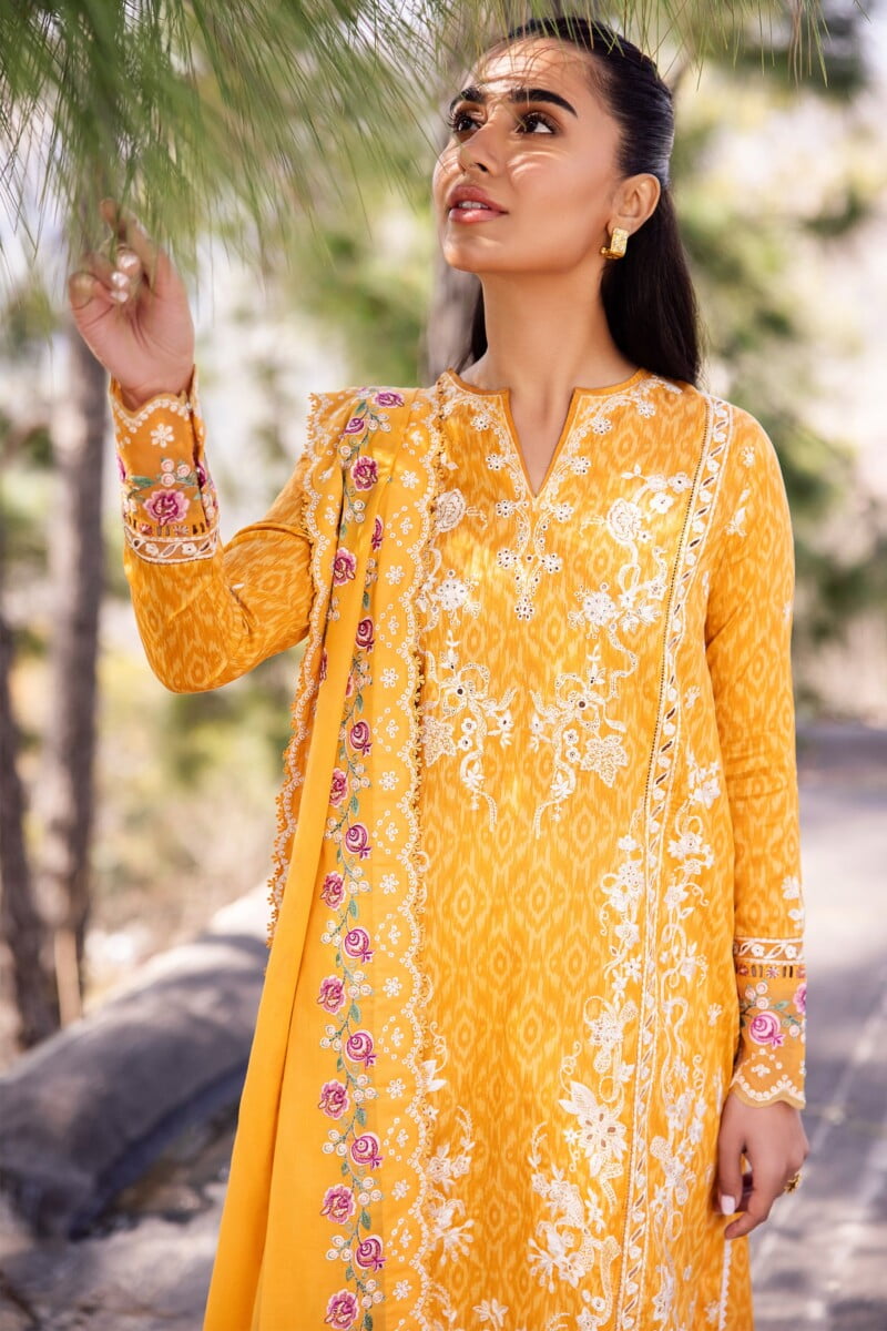 Imrozia I 198 Beena Naina Chiffon Collection 24