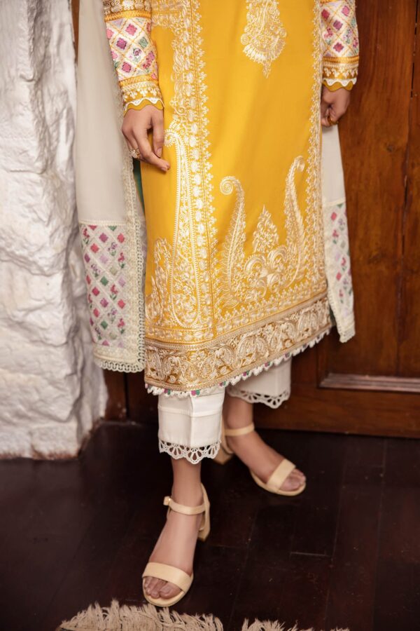 Imrozia I 191 Aabia Naina Chiffon Collection 24