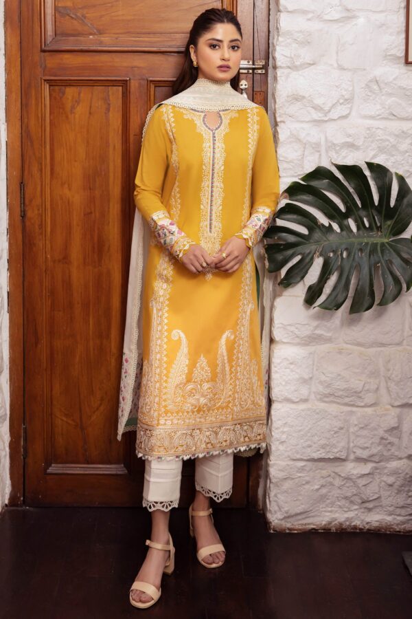 Imrozia I 191 Aabia Naina Chiffon Collection 24